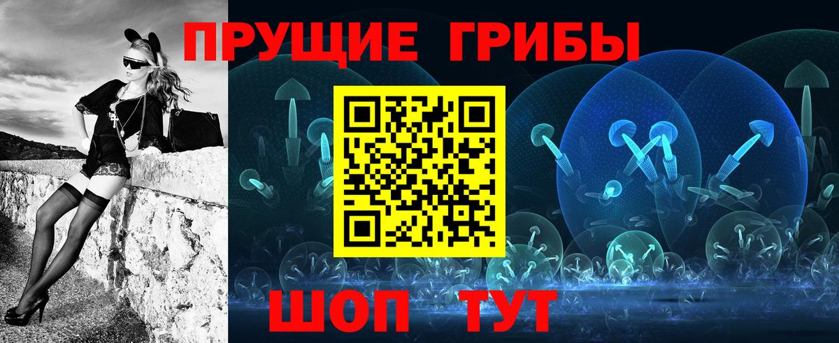 Галлюциногенные грибы ЛСД Камышлов